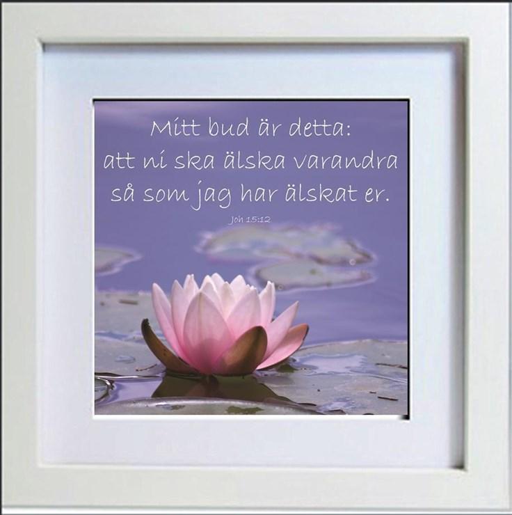 Innehåll Kyrkoherdens hälsning.1 Maj månads program 2 Juni och Juli månads program 3 Juli månads program 4 Augusti månads program..5 Lovsång och förbönskvällar...6 Reformationsåret.