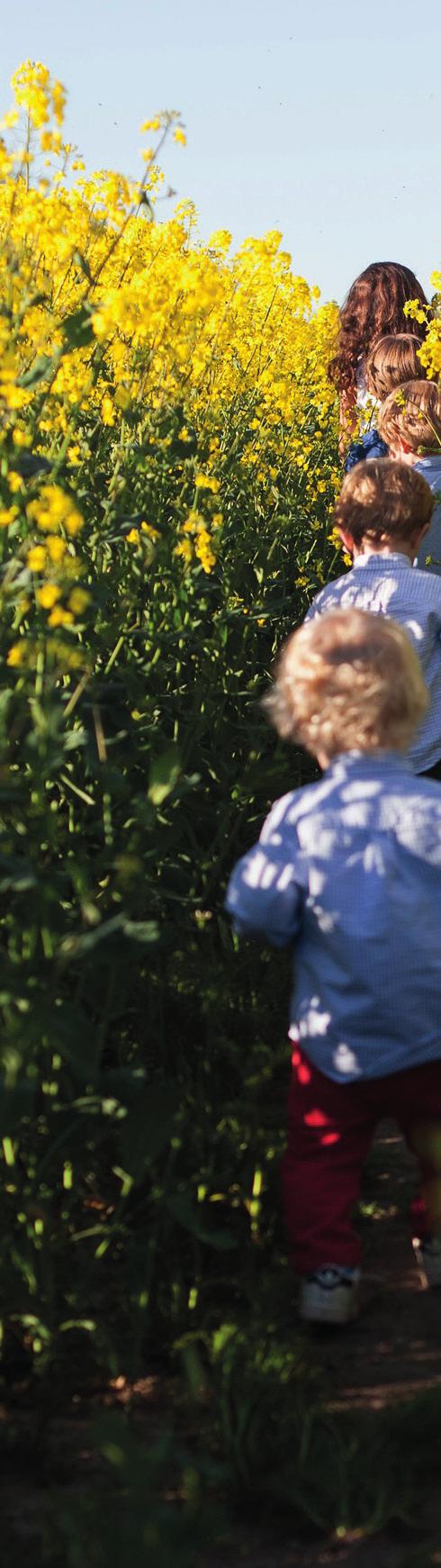 KONTAKTA SOCIALTJÄNSTEN Både barn och vuxna kan ta en kontakt med oss inom socialtjänsten. Det kan vara en anmälan om misstanke att barn far illa, ansökan om hjälp eller stöd i en akut situation.