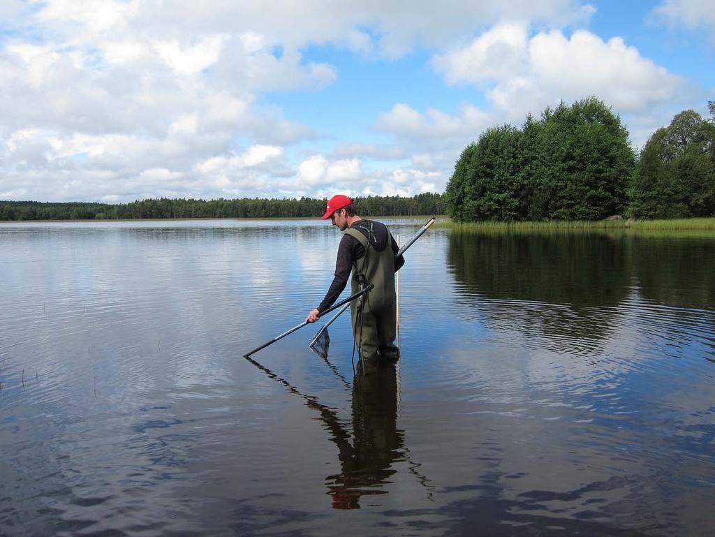 Meddelande nr 2012:19 Elfiske i sjöars