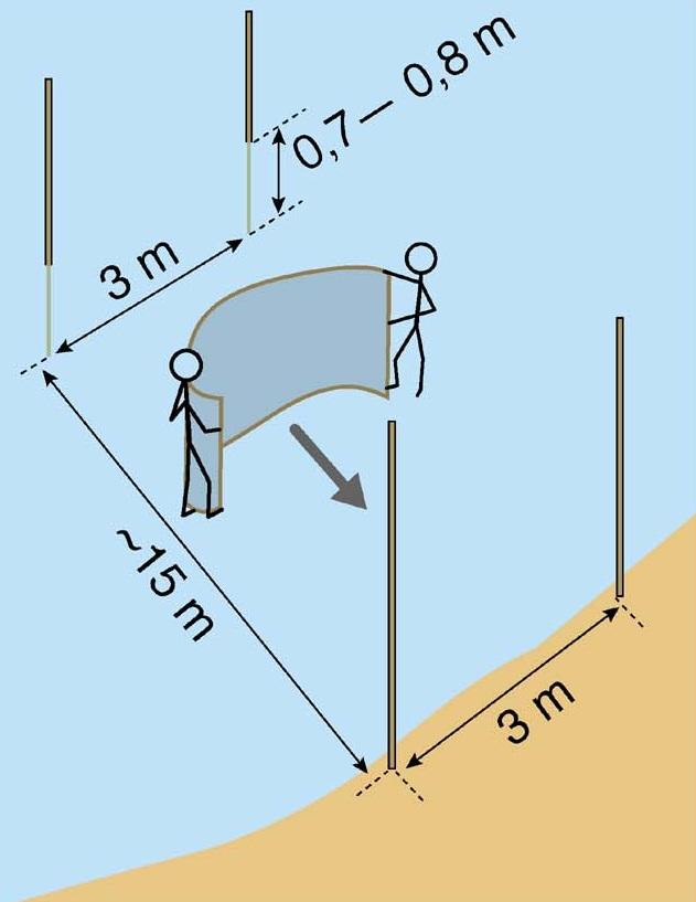 Figur 5. Beskrivning av tillvägagångssättet vid notfiskena på strandnära lokaler i sjöar 2011. Dels utifrån och in mot stranden (A), dels längs med stranden (B). Illustrationer från Eklöv (2002).