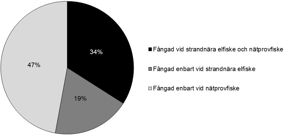 kena och inte nätprovfiskena (19 % i genomsnitt) var oftast bergsimpa, lake, nissöga, signalkräfta och ål, det vill säga arter som normalt sett uppehåller sig längs botten. Tabell 7.