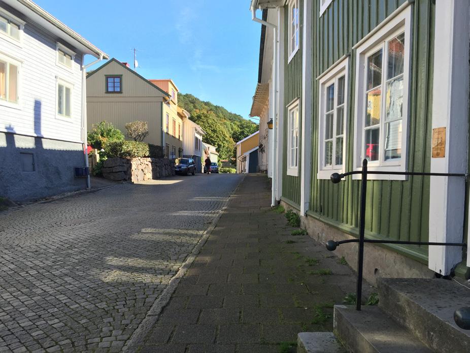 Översiktsplanen, ÖP 2010, anger att det är viktigt att inte bryta den historiska kontinuiteten i en stads utveckling. Den gamla trästadens karaktärsdrag ska tas tillvara och riksintresset ska beaktas.
