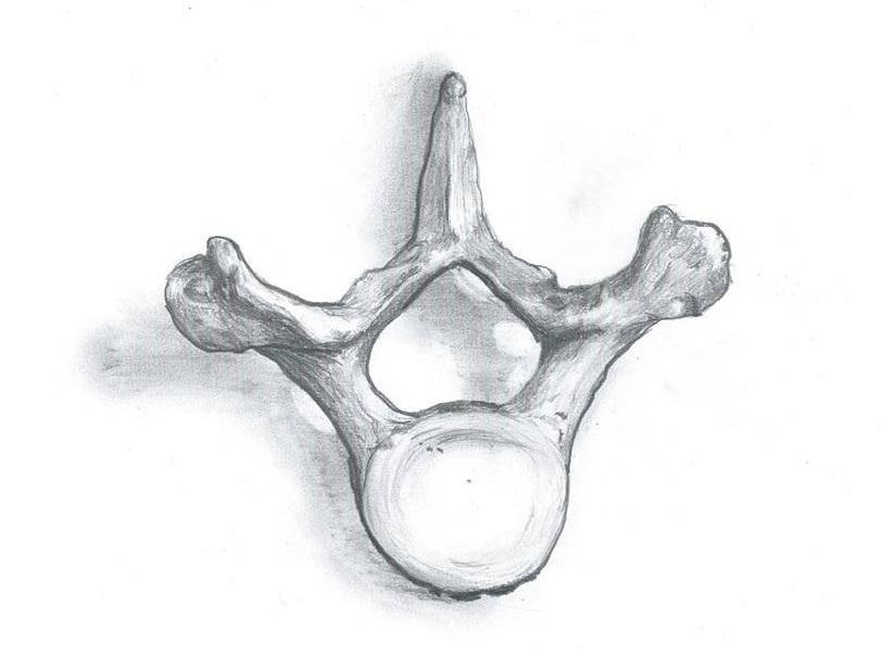 En osteologisk analys av benmaterialet från den mesolitiska kustboplatsen Huseby klev Felicia Hellgren HOSK04 HT2014 Historisk