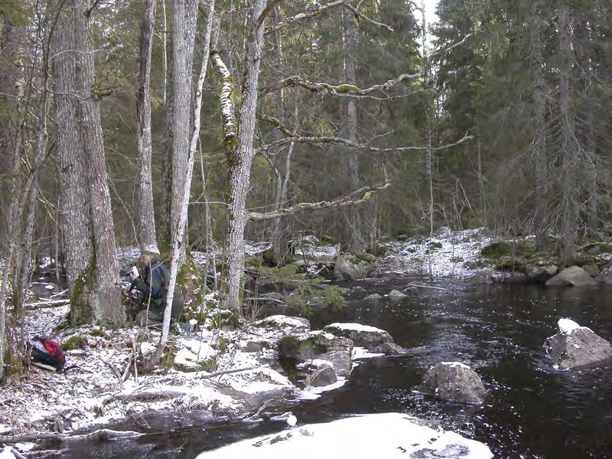 relativt nära den stora förekomsten vid den mellersta åfåran (se nedan).