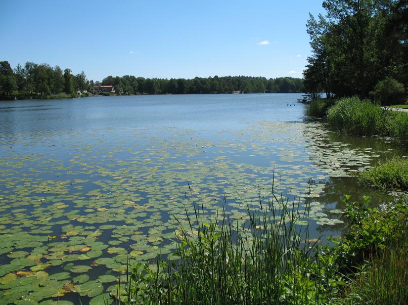 artsammansättning, förekomst och utbredning