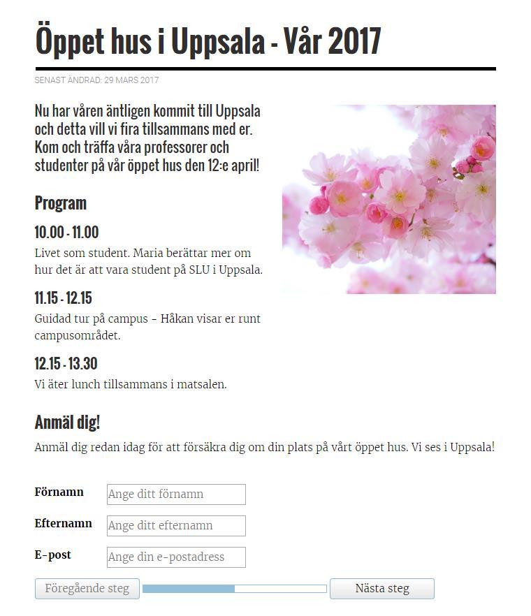 AGENDA FORMULÄR I EPISERVER Varför? Skillnader Hur gör jag nu? Steg-för-steg riktlinjer.