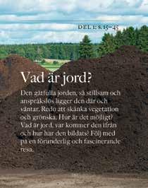 "Få saker är så