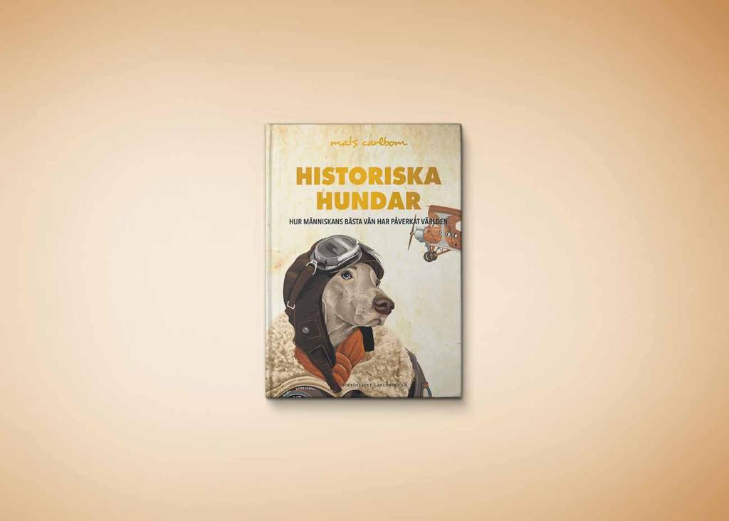 VÅRENS NYHETER HISTORISKA HUNDAR Hur människans bästa vän har påverkat världen Skulle Nederländerna ha funnits om det inte vore för en påpasslig mops?
