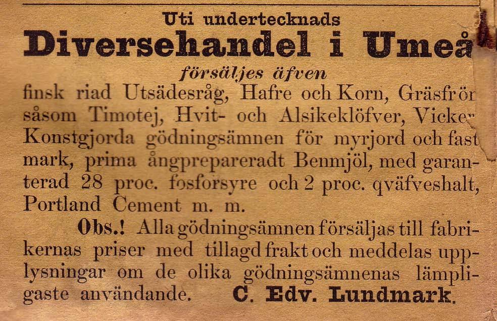 1 Speceri, Charkuteri, Mjölk och Diverse - handlare i Umeå - området till sen. delen av 1940 - talet L Ö Lindbergs Anny Chark Bolagshuset Tel.