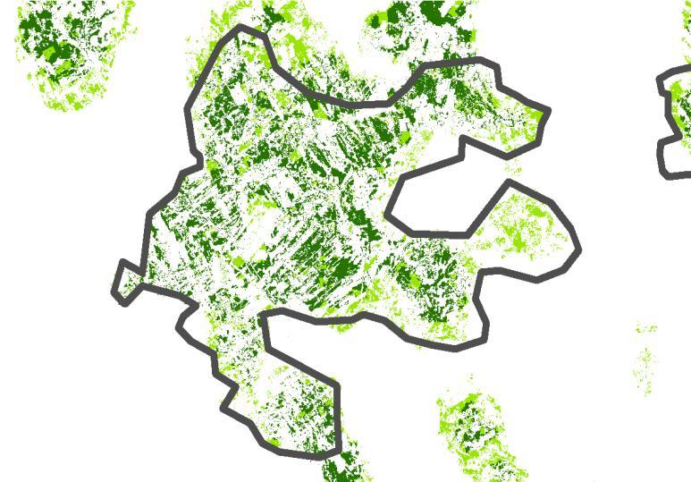 Förändring av habitat 2002 2012 (%) Andel avverkat (%) 2015-05-29 Venjans tallvärdetrakt 14(18) Avverkningar I genomsnitt har 146 hektar skog årligen avverkats inom värdetrakten under perioden 2000