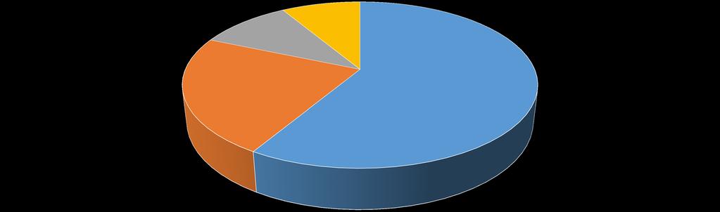 Visuell budget
