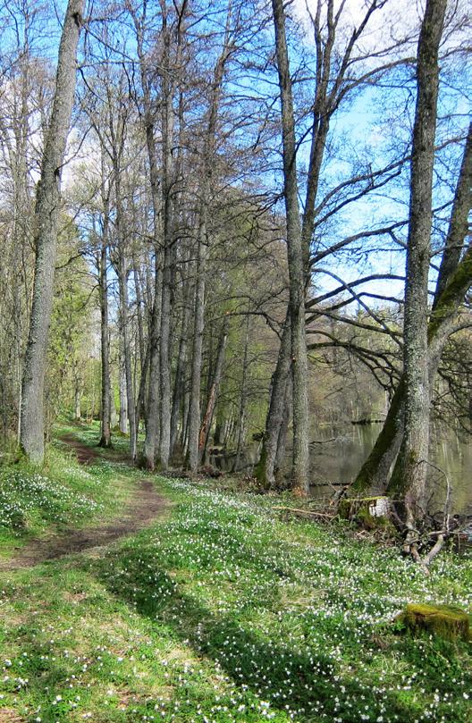 Kontrasten att enkelt kunna växla mellan stad och vacker naturmiljö lockar till ett boende i harmoniska Barnarp. Närhet till naturen. Ett lite lugnare tempo och mindre stress.