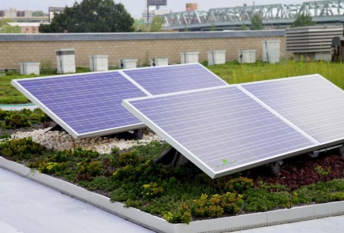 Elproducerande solceller fungerar bättre i svalare miljöer vilket främjas av att växterna på de gröna taken sänker den omgivande