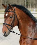 Alla hjälptyglar (utom martingal) används för att hästen skall arbeta i rätt form genom att trampa under sig, höja ryggen och böja på nacken.