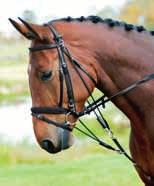 MARTINGAL: Används vid hoppning och på hästar som slår upp med huvudet. Skall hänga löst när tyglarna är sträckta.