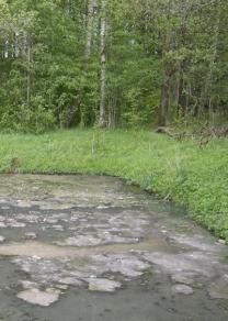 De stora utmaningarna God status enligt vattendirektivet Bygga ut enligt 6 i LAV Tillsyn av enskilda avlopp Klara av klimatförändringar (t.ex.