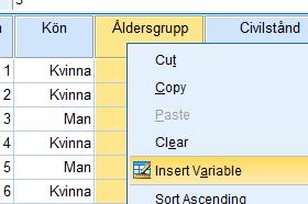 6.4 Organisera variabler (Ta bort/lägga till/flytta) Lägga till en variabel/ta bort en variabel i menyn Högerklicka på variabel Insert Variable Antag att man vill lägga till