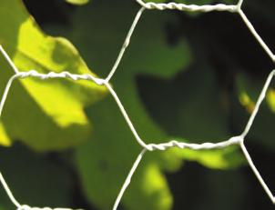 Knutet viltstängsel kan även erbjudas med en ytbehandling av Crapal (zink + aluminium) som ger en betydligt bättre livslängd.