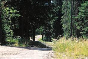 Vägen mot sockenkyrkan förblev därför underordnad och karaktären av stig behölls genom tiderna. Långvindsvägen är en typisk sådan väg som dragits fram genom obebyggda trakter.