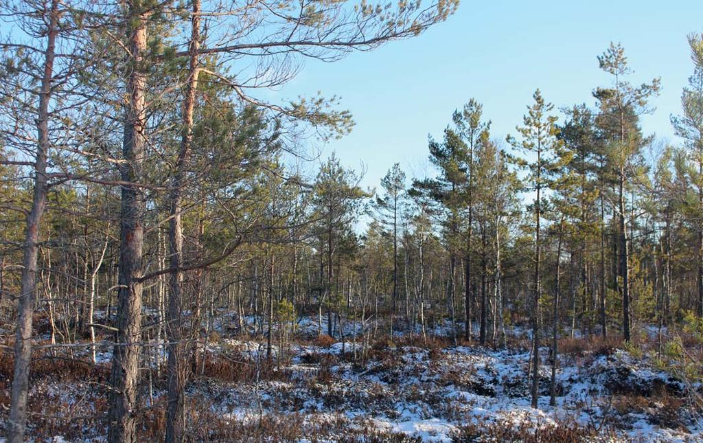 PRISIDÉ Fastigheten säljs med en prisidé om 1 250 000 kr. TILLTRÄDE Tillträde efter överenskommelse.