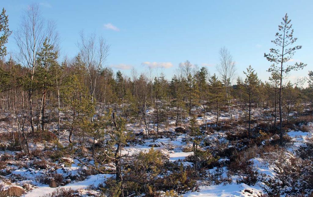 VÄGBESKRIVNING VÄGBESKRIVNING Fastigheten är belägen sex kilometer öster om Molkom i de norra delarna av Karlstads kommun. Från Karlstad, tag riksväg 63 mot Filipstad.