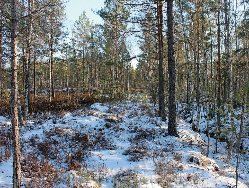 Information i denna beskrivning är baserad på ägarens uppgifter samt annat tillgängligt material. För felaktigheter, nuvarande eller eventuella kommande, i detta material ansvaras ej.