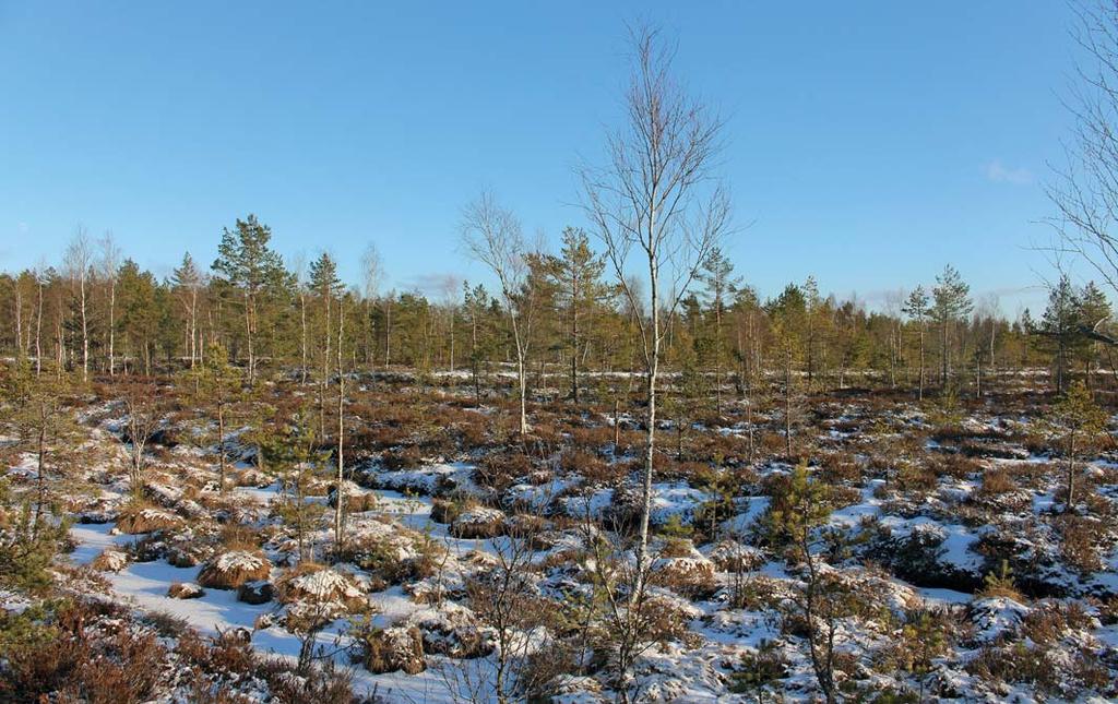 UPPLYSNING OM SK SIDOVERKSAMHET Ansvarig fastighetsmäklare förmedlar annonserbjudande från Hemnet Service HNS AB och erhåller för denna sidoverksamhet en administrationsersättning på 50 % exkl.