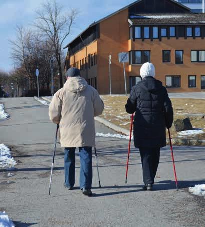 Årsrapport 2012 7 Vilka faktorer påverkar patientens val att inte träna efter artrosskolan? Masteruppsats. Anna-Marika Eggertsson, leg sjukgymnast.