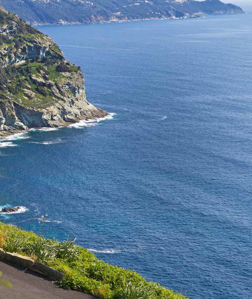 CALIFORNIA möter KORSIKA text & foto: Richard Sjösten Genom ett regnigt Europa letar vi oss fram mot en