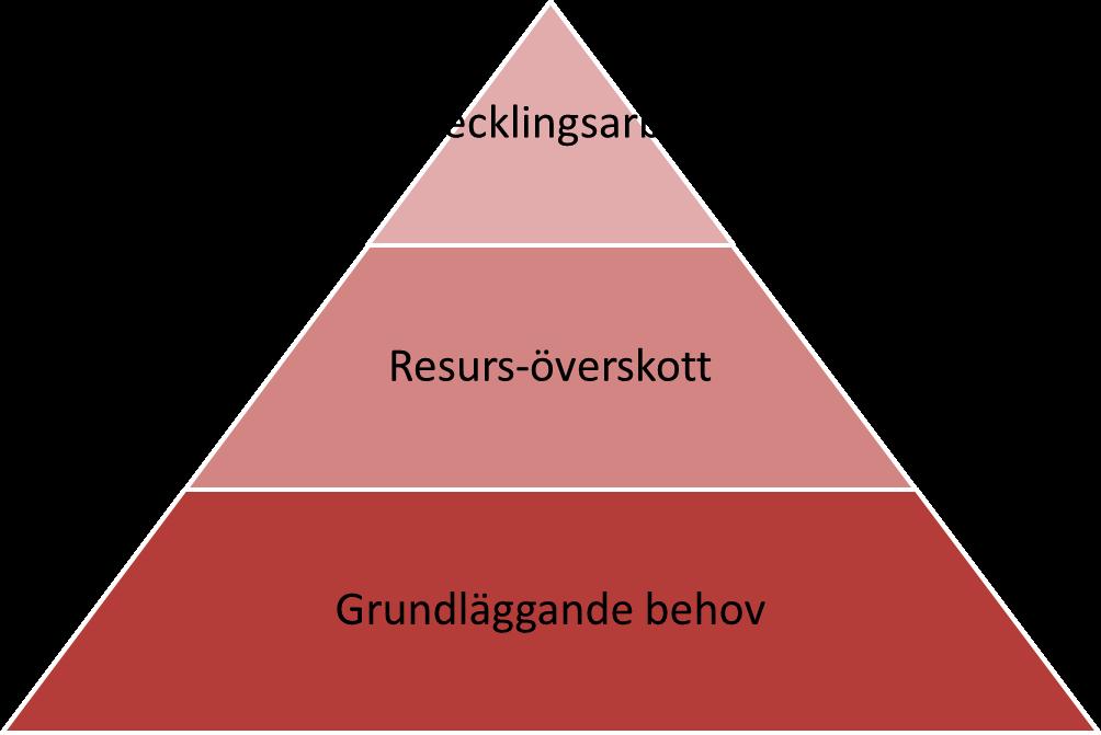 Slutsats 2: Vikten av att tillfredsställa grundläggande behov Fallstudierna av lokala idrottsföreningar har belyst en ytterligare problematik.