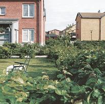 STADSTRÄDGÅRDARNA För att skapa e rik gatusekves varieras mötet mell gata och radhus lägs Rosedalsgat. Mot orr möts de kommuala gat av trädgårdar och större radhus.