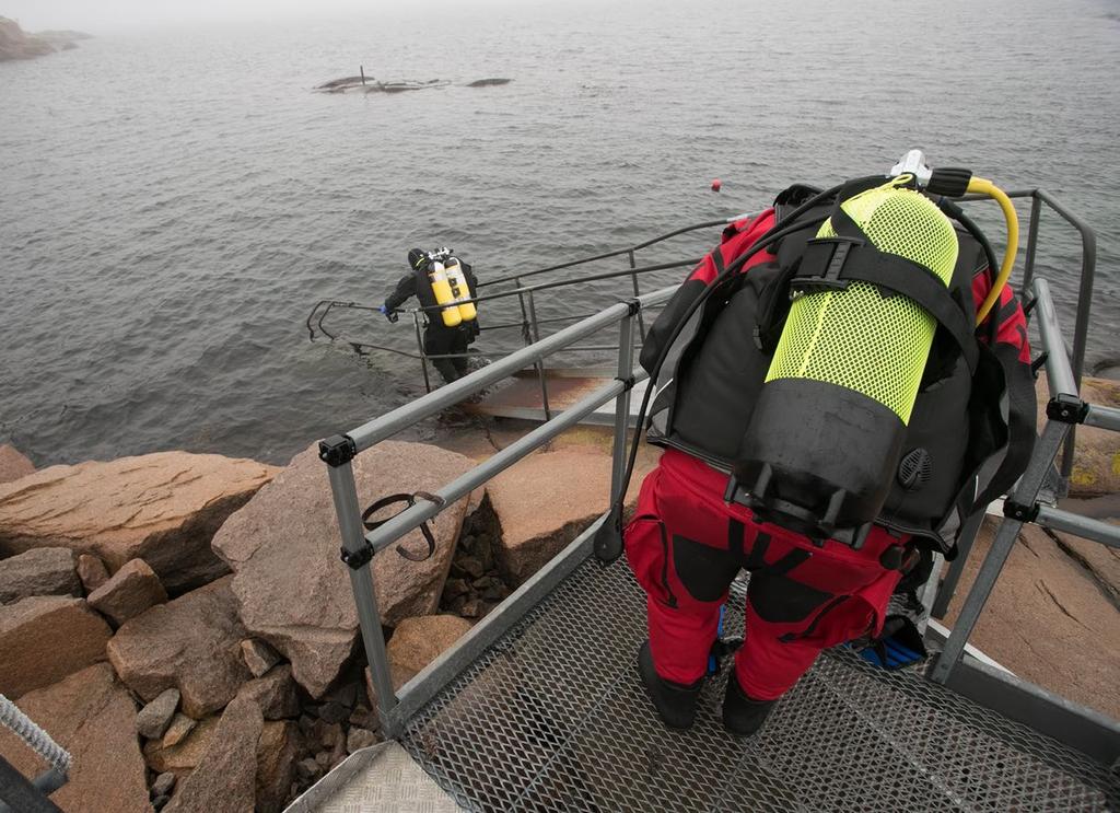 I hamnen invid dykcentret har totalt omkring 20 arter påträffats, och lägger man till de intilliggande öarna och skären har som mest 43 arter av nakensnäckor registrerats vid Smögen under en