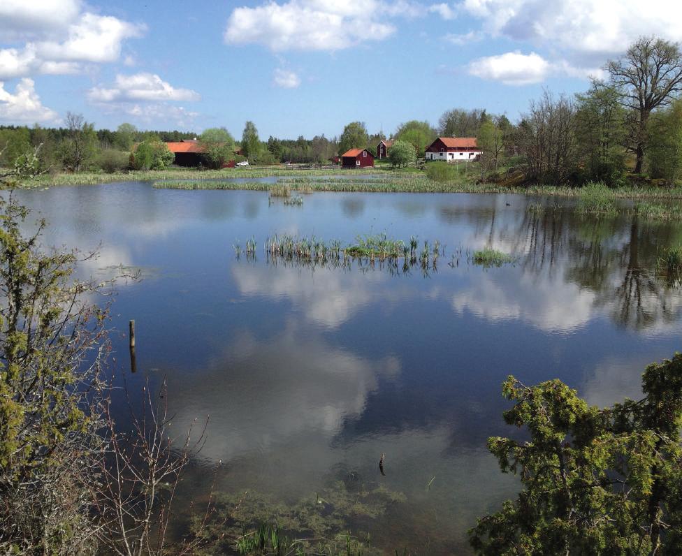 Svinnö bydamm, Harg. FOTO: WILHELM DIETRICHSON Jontedammen vid Hökhuvud är ett annat vatten med stöd från länsstyrelsen.