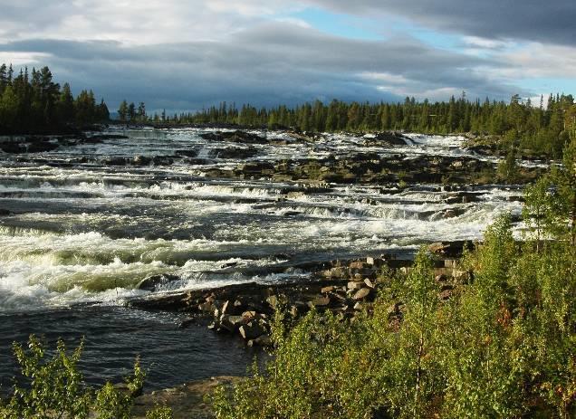 Huvuddelen av Sveriges stora älvsystem har ett stort antal dammar och kraftverk och är starkt påverkade av vattenreglering [1].