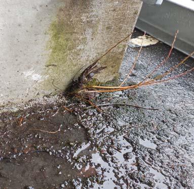 Vattentät betong i bjälklag? Betong med stort motstånd mot vatteninträngning finns Men tätskikt krävs, och tätskiktet kräver ett bra betongunderlag att fästa mot Bra betongunderlag!