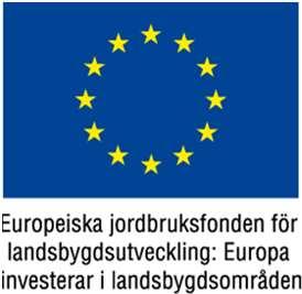 INFORMATIONSMÖTE TJÄNSTER I FIBERNÄTET Myckleby Fiberförening 19 mars 2017 Agenda Nuläge för projektet Tidplan