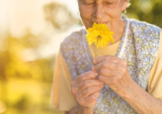 Livförsäkring 2017 05 20 2 Information inför val av livförsäkring Denna förköpsinformation är en kortfattad översikt av Danica Pensions livförsäkring och ska enligt lag lämnas före köp.