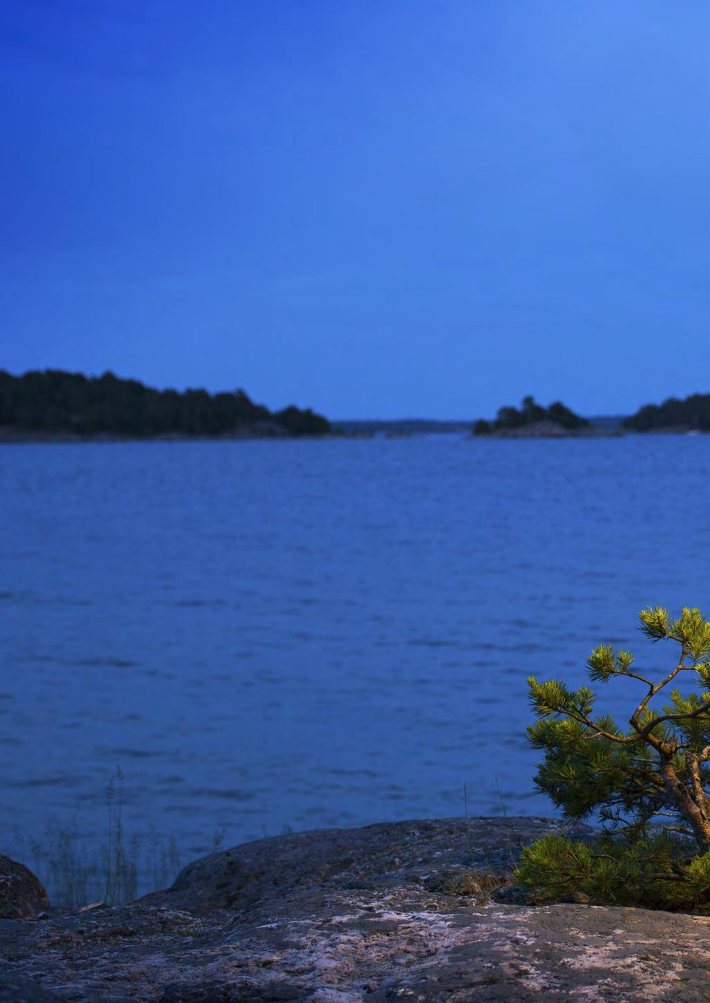 Aura Light utvecklar och säljer smart belysning som är energieffektiv, ekonomisk och miljövänlig, med lång livslängd och hög kvalitet.