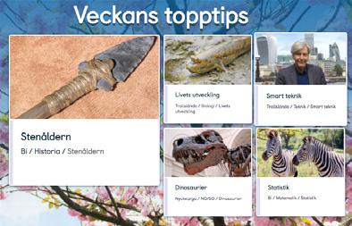 Hur hittar du det du söker? Menyn Du kan leta efter det du söker genom att klicka på din nivå och sedan välja ett ämne.