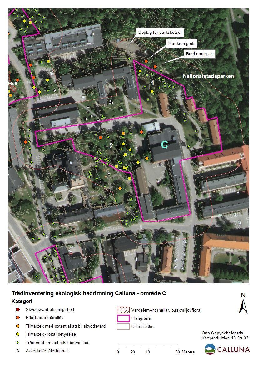 Karta 4. Kartan är en detaljkarta över område C och visar planområdets läge med 30 meters buffertzon (ungefärliga avgränsningar).