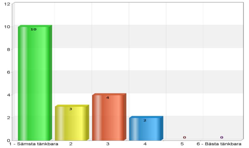 27. Hur var ditt mående innan du fick kontakt med verksamheten?