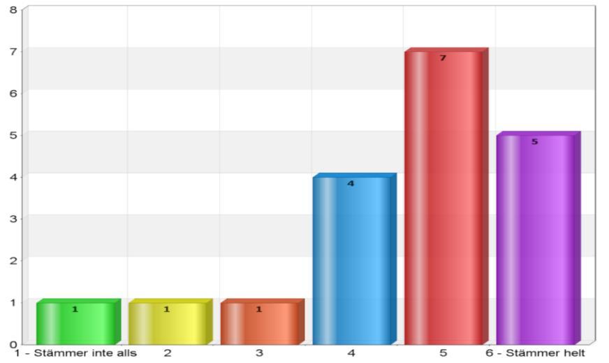 30. Det är mina ansträngningar som mest har påverkat min livssituation Bild 30. 5 respondenter svarar Stämmer helt, 14 har svarat lägre på skalan 31.