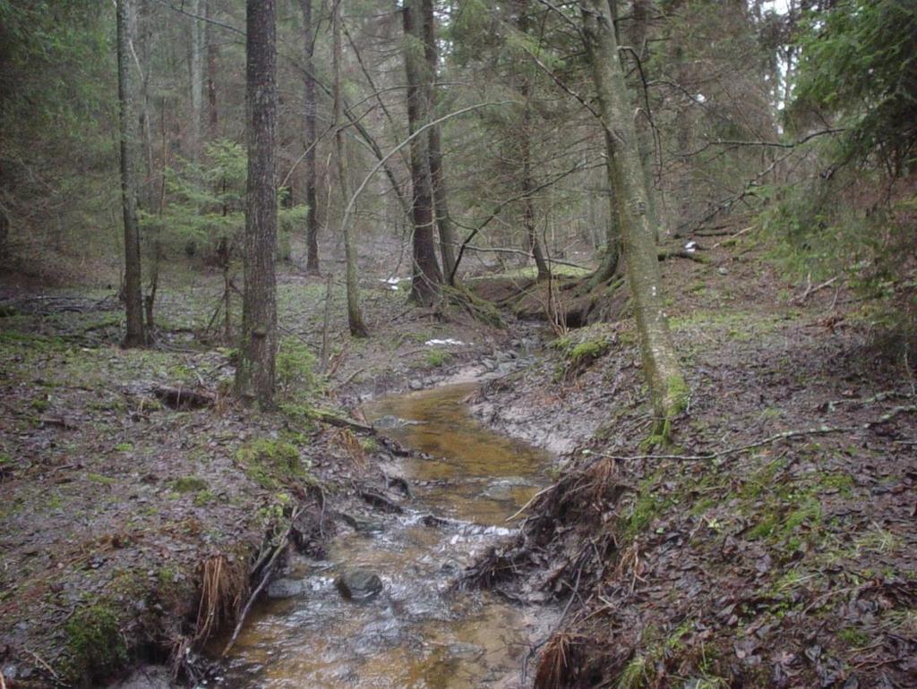 Det har betydelse för tillämpningen av regelverket om Natura 2000-områden.