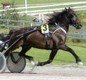 800 kr Valack e Åsajerven - Elding Tränare: Per Nordlund Ägare: Ulrica Löves & HB Nostaligia Förvalt.
