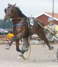 senarekomiv75finalenpå Elitloppslördagen.Påhöstenkvalade CopimadeintillfinalenavUETDerby tillvincennesdärdettyvärrblevgalopp.