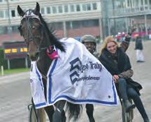 Ås-Johnny Takter 4,13 lopp 14: Johnny B.