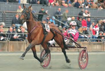 08,7 på Pocono Downs, den gången fick han smyga med i rygg på hårddragande Arch Madness och när han vek ut till attack på