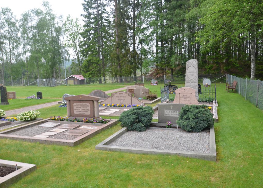 De ligger exempelvis samlade utmed den långa grusgången i öst-västlig riktning och i norra delen av kyrkogården.