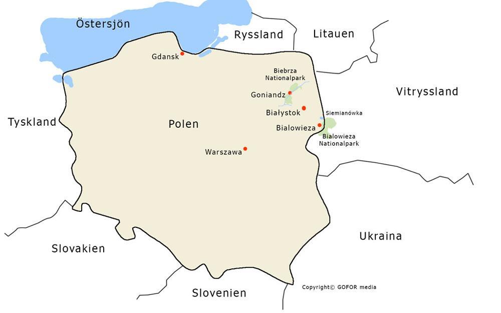 POLEN 2