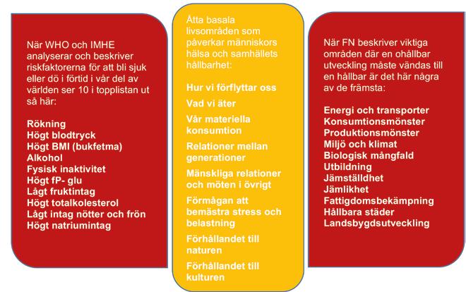 Figur 5.1. Riskfaktorer för sjukdom och tidig död förenas med de stora framtidsfrågorna i ett begränsat antal basala livsområden.